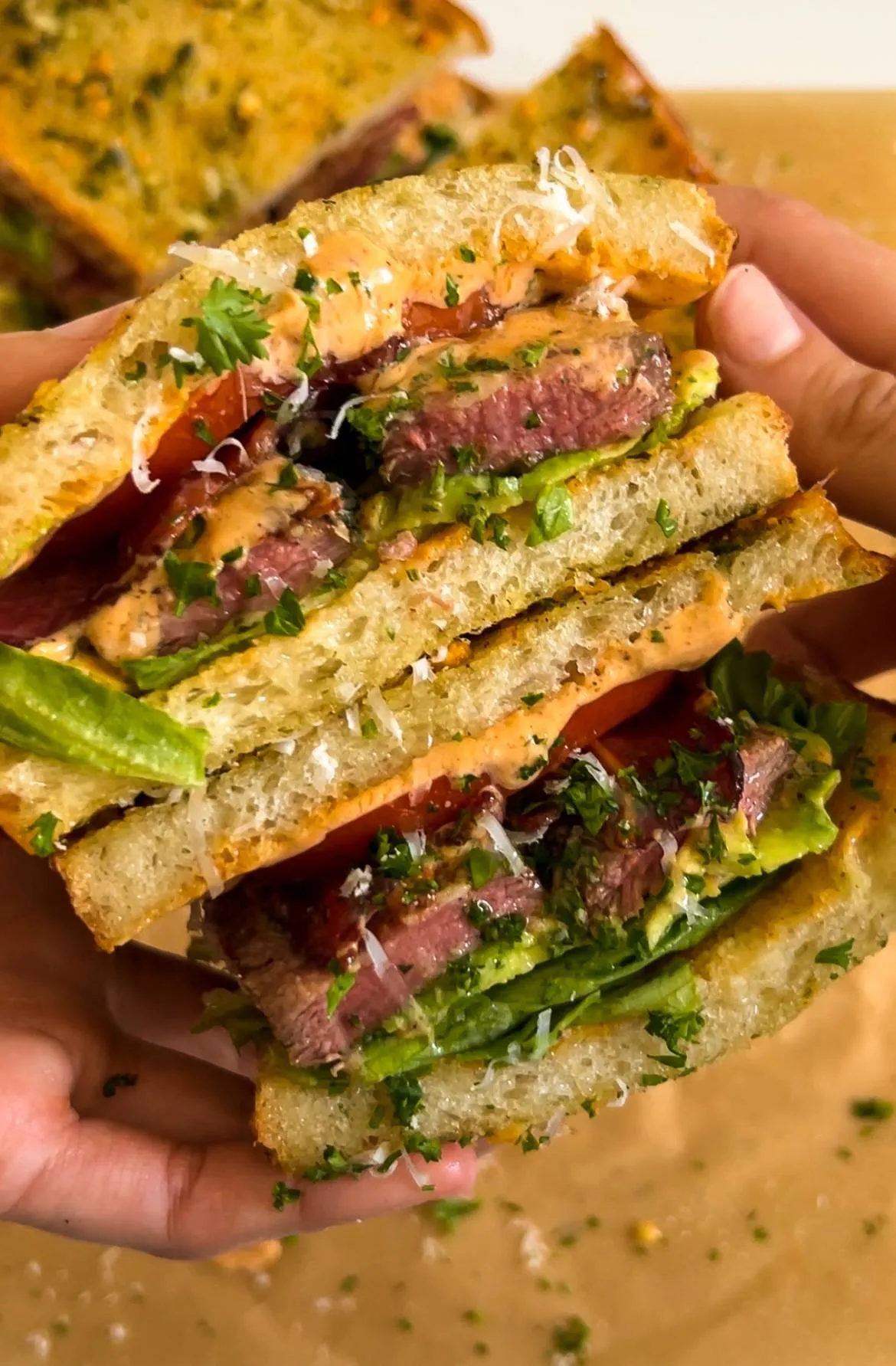 Steak Sandwich